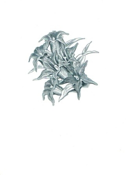 CZ 1984 98 006 **